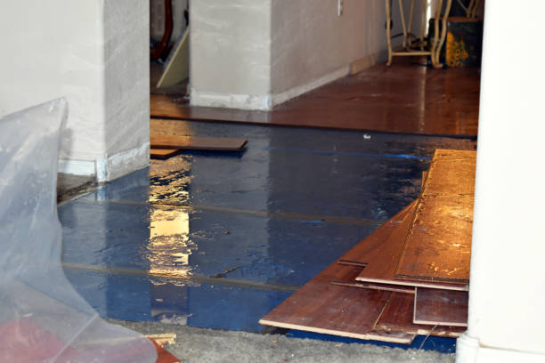 Professional Basement Flood Cleanup technician working in Clifton, IL
